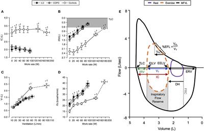 Evaluation of Dynamic Respiratory Mechanical Abnormalities During Conventional CPET